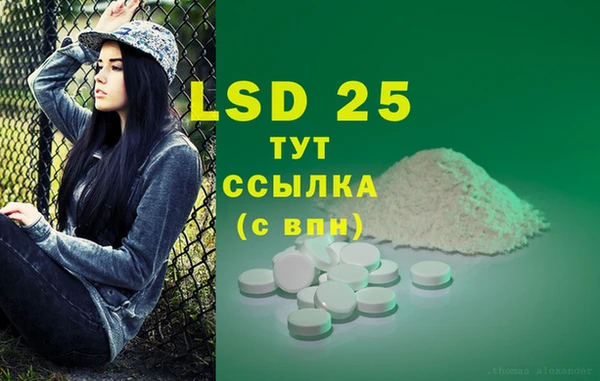 дмт Алзамай