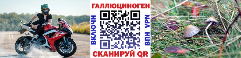 нарко площадка формула  Ахтырский  Псилоцибиновые грибы прущие грибы  купить  